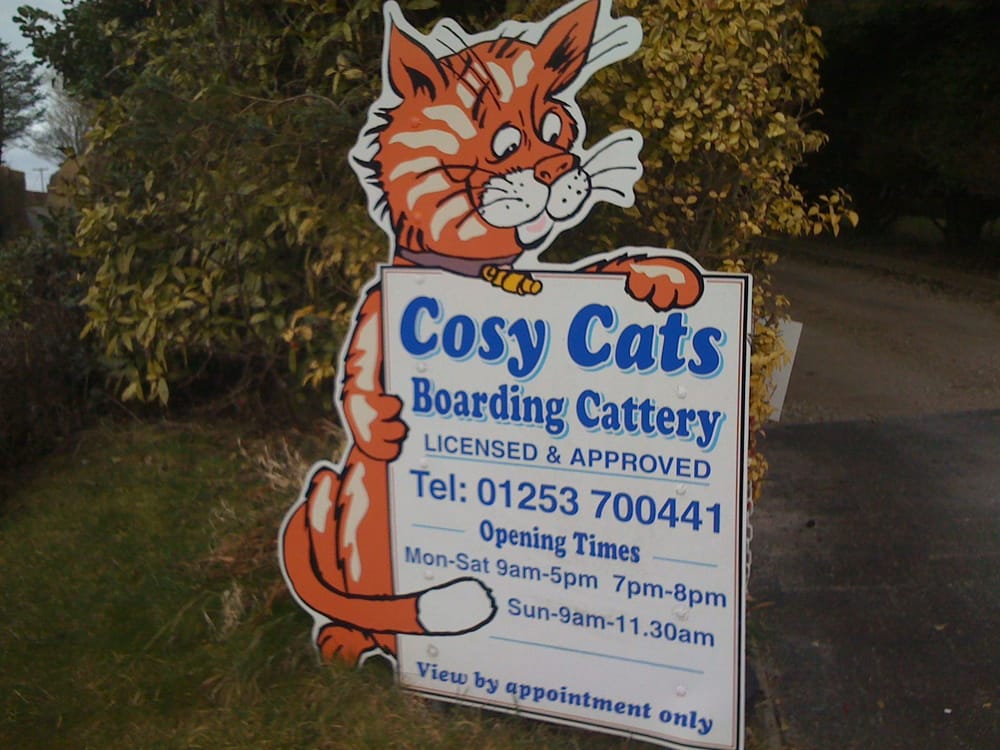 cosy cats boarding cattery