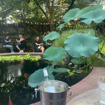 Dilworth Tasting Room - Outdoor patio - Bars Near Me - Charlotte, North Carolina Dilworth Tasting Room - Outdoor patio - Bars Near Me - Charlotte, North Carolina