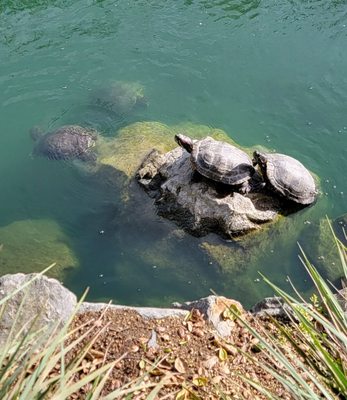 12405 E Waterfront Dr by null