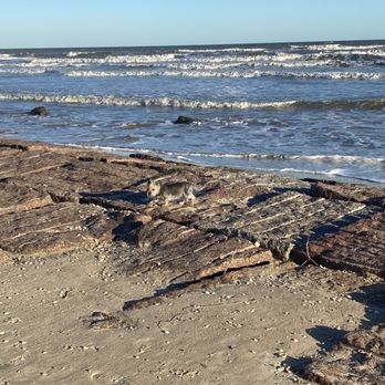 Sargent Beach - Precious running , high tide - Beaches Near Me - Bay City, Texas
