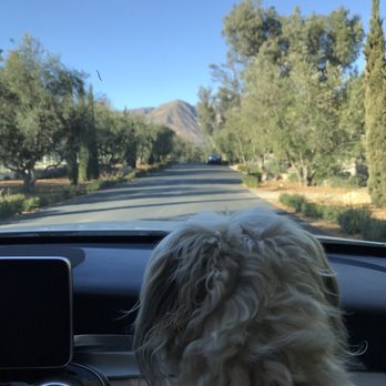 Ojai Valley Inn - Hotels Near Me - Ojai, California Ojai Valley Inn - Hotels Near Me - Ojai, California