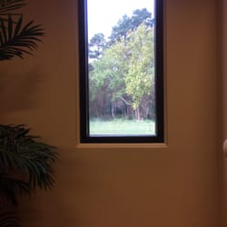 Wainwright Dental & Associates - View from the dental chair; Serene woods.