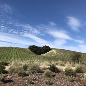 Niner Wine Estates - Wine Tasting Room Near Me - Paso Robles, California