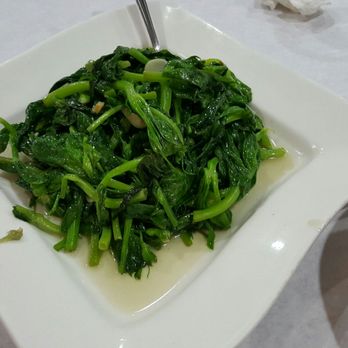 Chengdu Impression - Lincoln Park - Snow pea leaves - excellent - Szechuan Near Me - Chicago, Illinois Chengdu Impression - Lincoln Park - Snow pea leaves - excellent - Szechuan Near Me - Chicago, Illinois