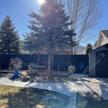 Arbor Pros - Scheduling later for the last of the Spruce.. - Tree Services Near Me - Reno, Nevada