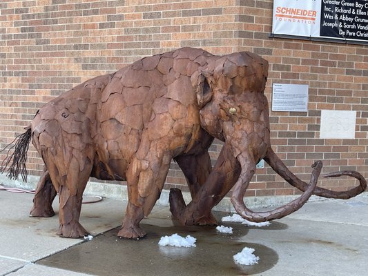 Neville Public Museum by null