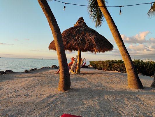 Mangrove Marina by null