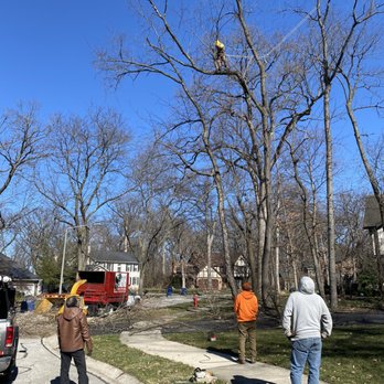 M&RG Tree Service - Tree Services Near Me - Lisle, Illinois