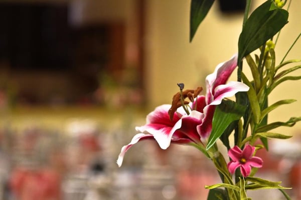 La Fontaine Reception Hall 14902 Northwest Fwy Houston Tx Wedding Consultants Planning Arranging Mapquest