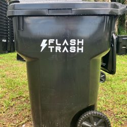 Flash Trash