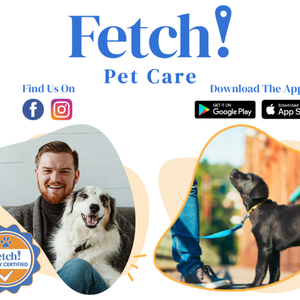 Fetch! Pet Care of El Paso - pet boarding facility in El Paso, TX