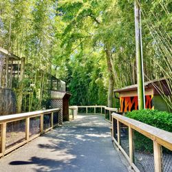 Cohanzick Zoo - Cohanzick Zoo