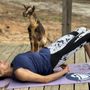 Photo of GGA Dwarf Goat Yoga