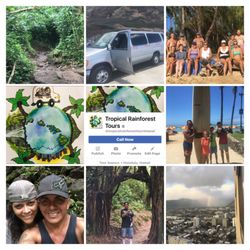 Tropical Rainforest Tours - Collage of pics
