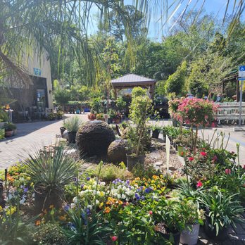 Earth Works Plant Nursery - Nurseries & Gardening Near Me - Jacksonville, Florida Earth Works Plant Nursery - Nurseries & Gardening Near Me - Jacksonville, Florida