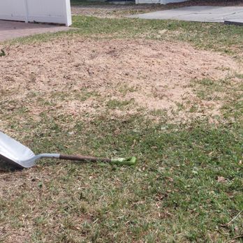 Flores Tree Services - a shovel laying on the ground - Landscaping Near Me - Tampa, Florida Flores Tree Services - a shovel laying on the ground - Landscaping Near Me - Tampa, Florida