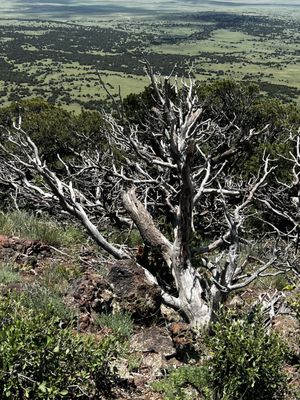Capulin Volcano National Monument by null