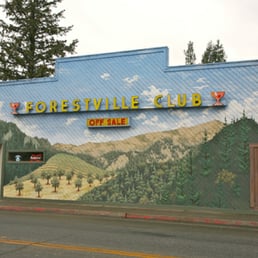 Best dive bar in West Sonoma County easily!
