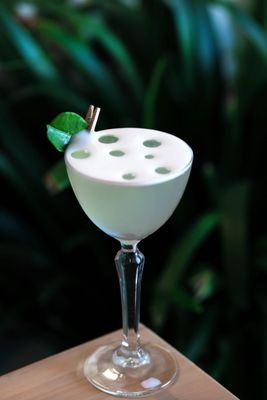 Jaguar Paw Bar by null