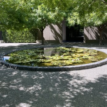 Promontory - Lilly pad in a courtyard. The feeling of the site - Wineries Near Me - Oakville, California