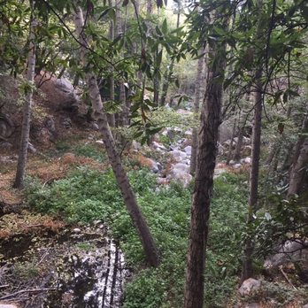 Sturtevant Falls - Hiking Near Me