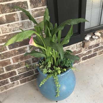RCB Gardens - Nurseries & Gardening Near Me - Longview, Texas