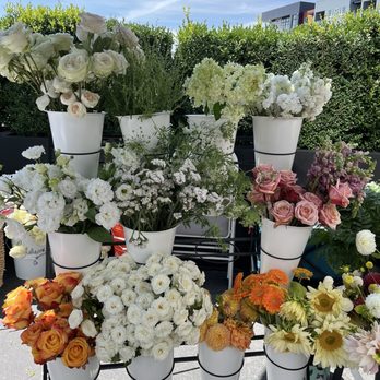 Hilton Garden Inn Redmond Seattle - Flower station - Hotels Near Me - Redmond, Washington Hilton Garden Inn Redmond Seattle - Flower station - Hotels Near Me - Redmond, Washington