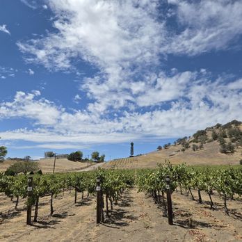 Tehachapi Wine and Cattle - Outside. - Wineries Near Me - Tehachapi, California