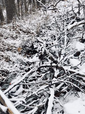 Albion Falls by null