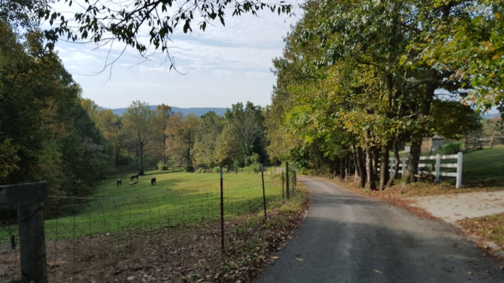 Leslies Performance Horses - equestrian in Cookeville, TN