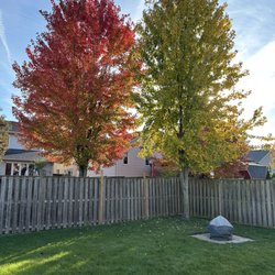 Greener Still - Lawncare