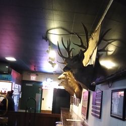 Golden Spur Saloon - Hunting country. Four bucks.