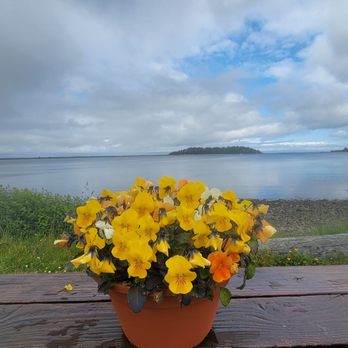 Calvin's Crab House - Coffee & Tea Near Me - Neah Bay, Washington Calvin's Crab House - Coffee & Tea Near Me - Neah Bay, Washington