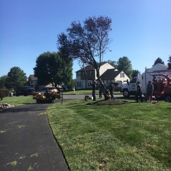Prestige Tree Service - Tree Services Near Me - Philadelphia, Pennsylvania Prestige Tree Service - Tree Services Near Me - Philadelphia, Pennsylvania
