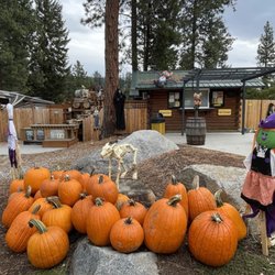 KOA Pine Village Kampground - Halloween decorations