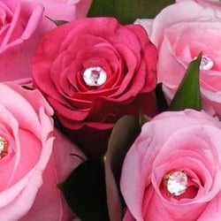 The Flower Stand - Courtesy of Flower Stand website
