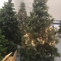 Xmas trees all year