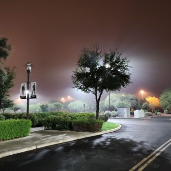 Dillards - Dillard's parking lot is landscaped nicely - Department Stores Near Me - Gilbert, Arizona