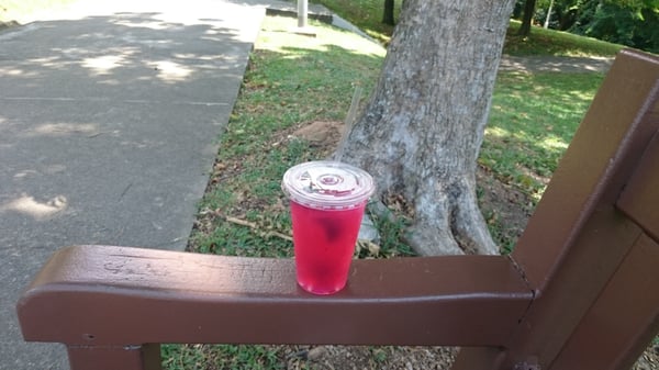 Mount Emily Park by null