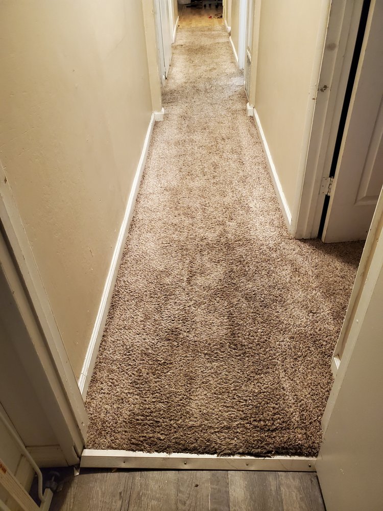 STEAM ‘N CLEAN Updated September 2024 66 Photos & 98 Reviews 101