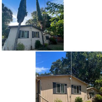 J’s Lawn Maintenance & Tree Removal - Double tree removal - Lawn Services Near Me J’s Lawn Maintenance & Tree Removal - Double tree removal - Lawn Services Near Me