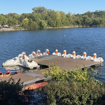 Como Lake - Swan boats for rent - Lakes Near Me - Saint Paul, Minnesota
