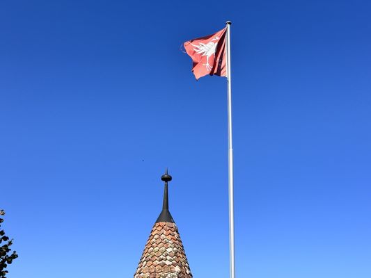 Château de Gruyères by null