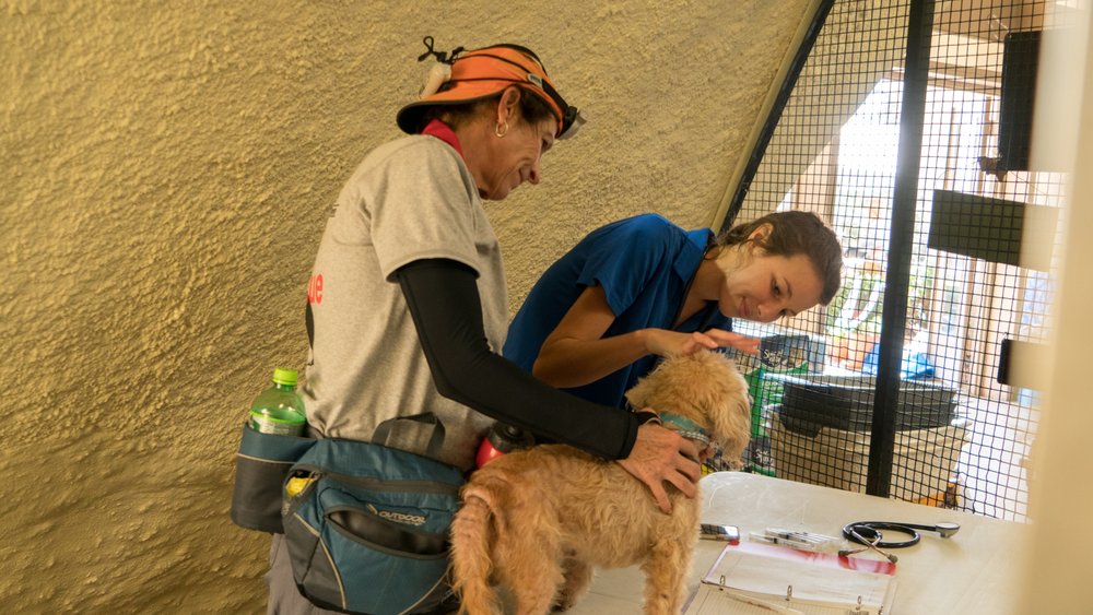 Florida State Animal Response Coalition - social services organization in Lakeland, FL