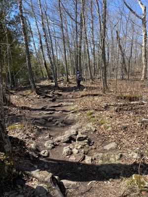 Cave Point County Park by null