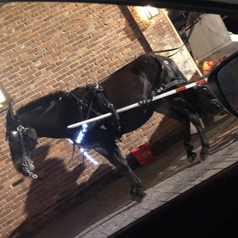 STIR - Carriage and horse waiting outside - Cocktail Bars Near Me - Chattanooga, Tennessee STIR - Carriage and horse waiting outside - Cocktail Bars Near Me - Chattanooga, Tennessee