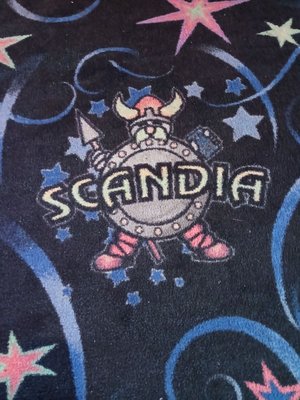 Scandia Family Fun Center by null