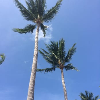 Hawks Cay Resort - Blue blue skies - Resorts Near Me - Duck Key, Florida Hawks Cay Resort - Blue blue skies - Resorts Near Me - Duck Key, Florida