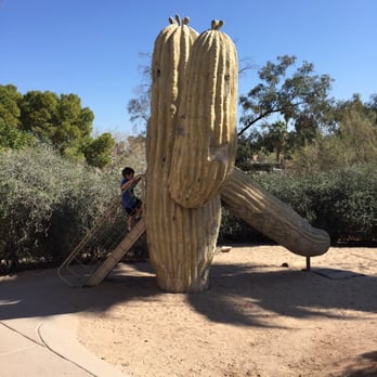 Phoenix Zoo - Cactus slide - Zoos Near Me - Phoenix, Arizona Phoenix Zoo - Cactus slide - Zoos Near Me - Phoenix, Arizona