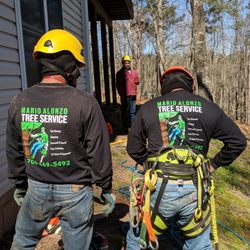 Mario Alonzo Tree Service